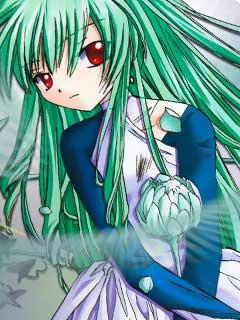 1213076.jpg240x320(21.7KB)