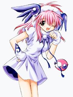 1213080.jpg240x320(15.9KB)