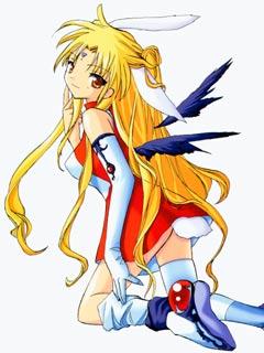 1213096.jpg240x320(16.5KB)