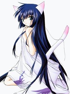 1213098.jpg240x320(15.7KB)
